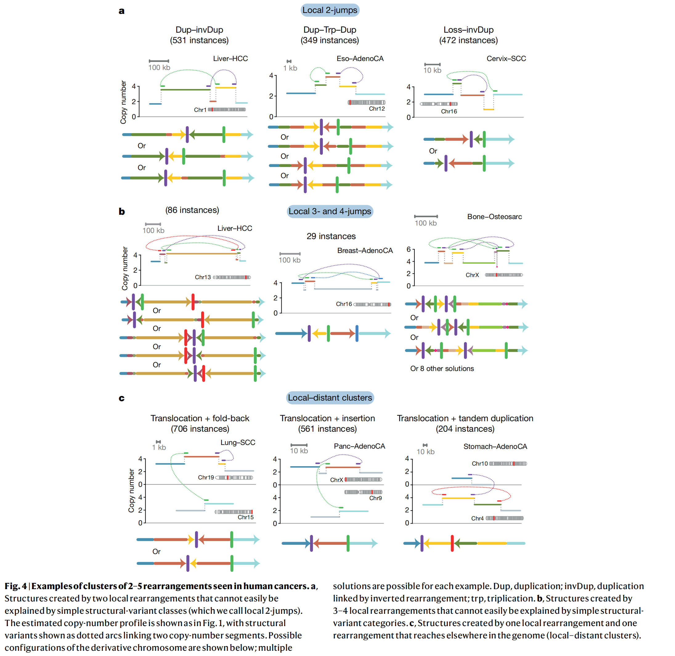 五、肿瘤全基因组学体细胞结构突变特征（Patterns of somatic structural variation in human ...