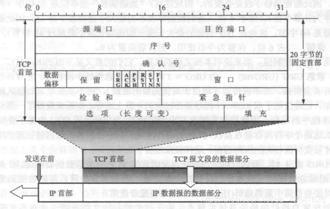 在这里插入图片描述