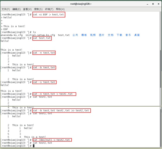 云计算与分布式系统课程学习笔记（二）——Linux基本命令的使用与熟悉