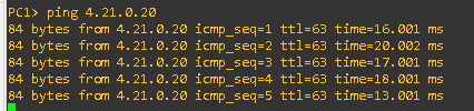 ping4.21.0.20