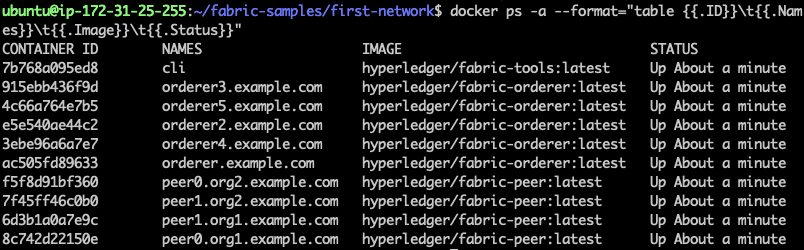 [外链图片转存失败,源站可能有防盗链机制,建议将图片保存下来直接上传(img-3mctKhpi-1582514440646)(fabric-2.0-chaincode-operation/first-network-2.0.0.png)]
