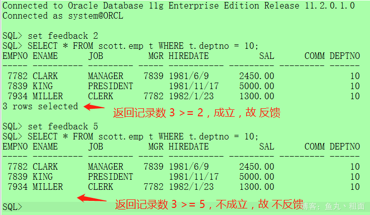 Oracle prompt、set feedback、set define 详解-CSDN博客