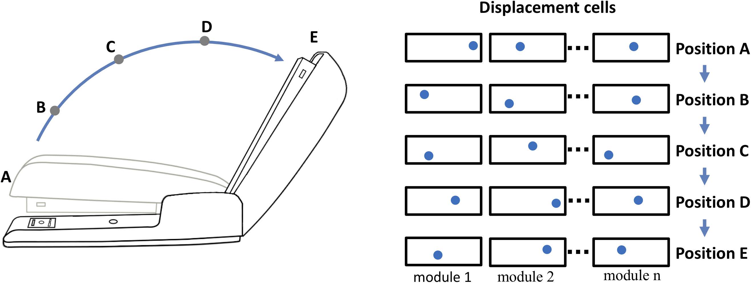 A Framework for Intelligence and Cortical Function 论文研读_皮层柱-CSDN博客