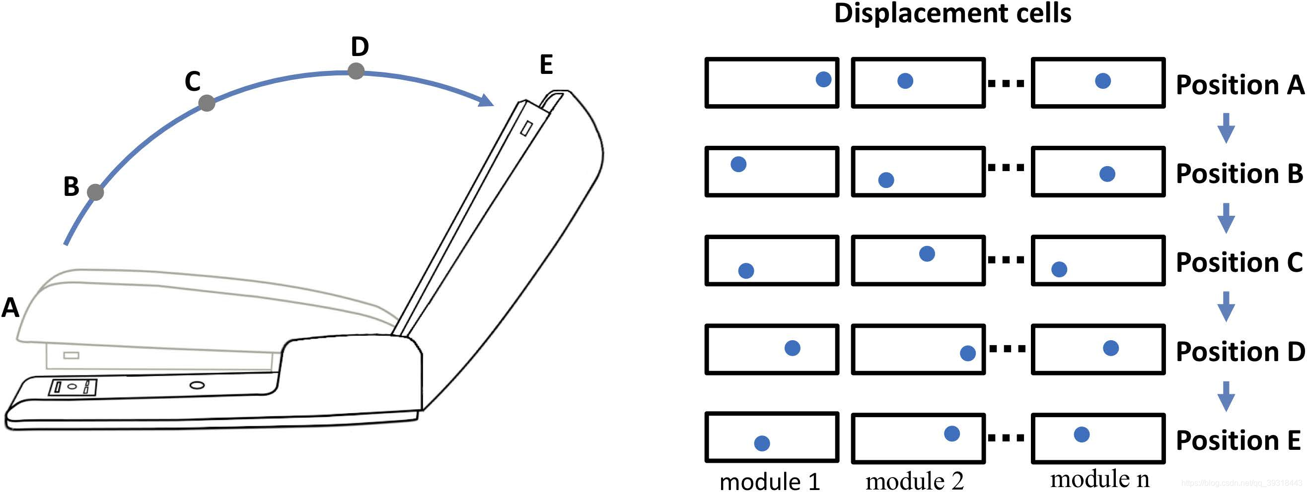 A Framework for Intelligence and Cortical Function 论文研读_皮层柱-CSDN博客