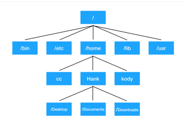 Ubuntu简介_ubuntu是什么-CSDN博客