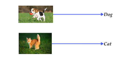 图像分类效果图