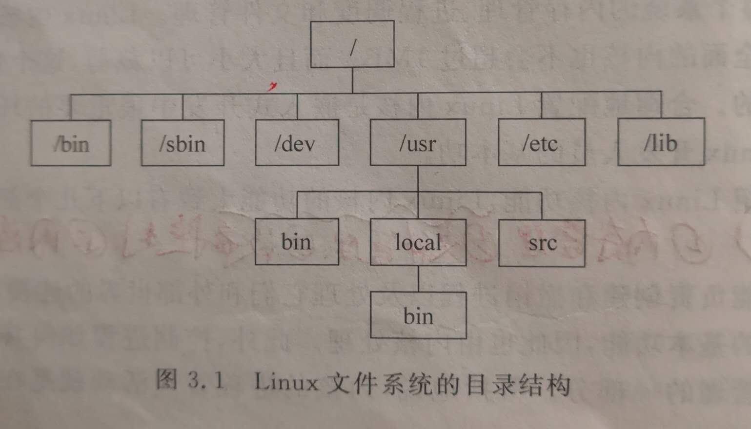 Linux文件系统的目录结构
