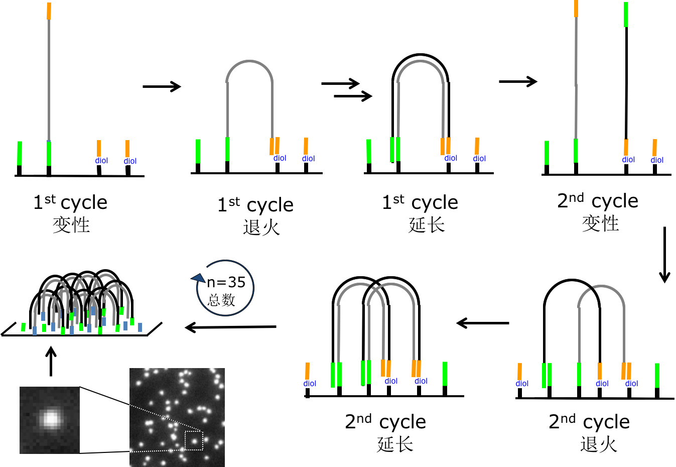 watermark,type_ZmFuZ3poZW5naGVpdGk,shadow_10,text_aHR0cHM6Ly9ibG9nLmNzZG4ubmV0L3dlaXhpbl80Mzc1OTU1MA==,size_16,color_FFFFFF,t_70