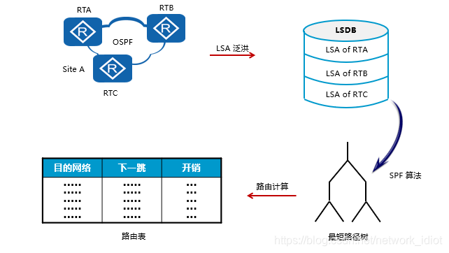 OSPF工作过程