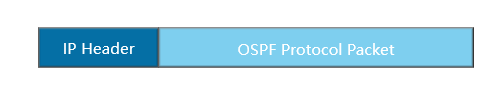 OSPF报文