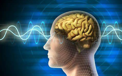 关于意识的问题