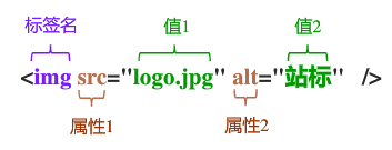 标签，属性，图片转自北京林业大学，孙俏教授