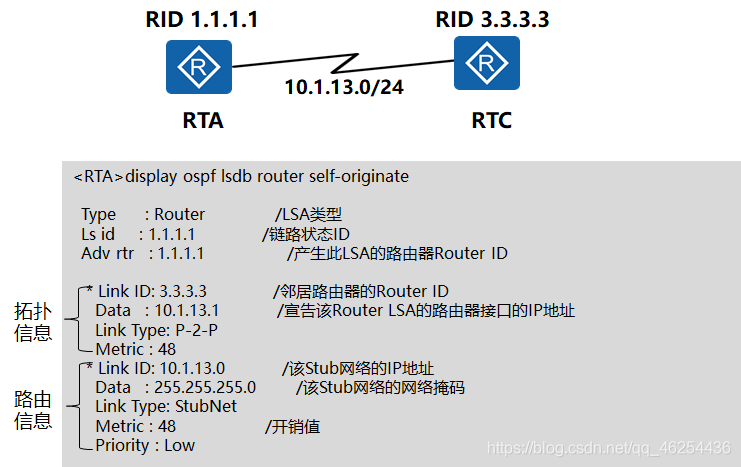 Router LSA