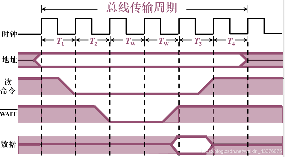 组原学习笔记二：总线