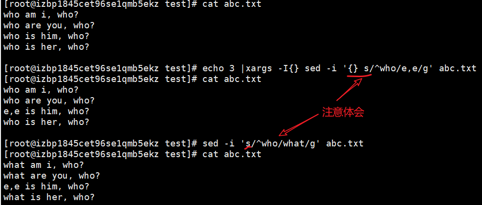 Shell脚本基础知识2 Wudinaniya的博客 Csdn博客