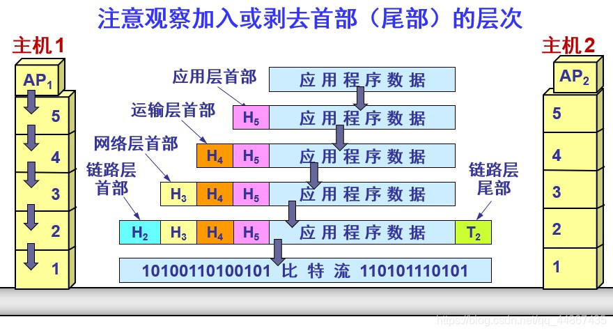 计算机网络体系结构