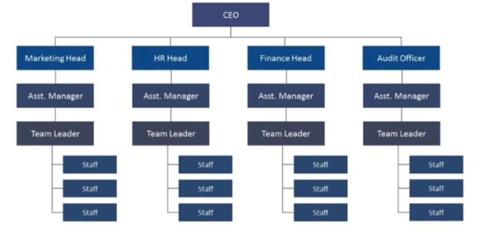 公司成员组织结构图