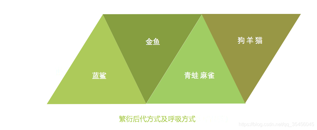 [外链图片转存失败,源站可能有防盗链机制,建议将图片保存下来直接上传(img-L5lD7AkJ-1583250908061)(../images/cluster2.png)]