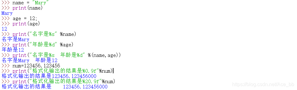 python 全局变量定义_python全局命名空间_python命名参数