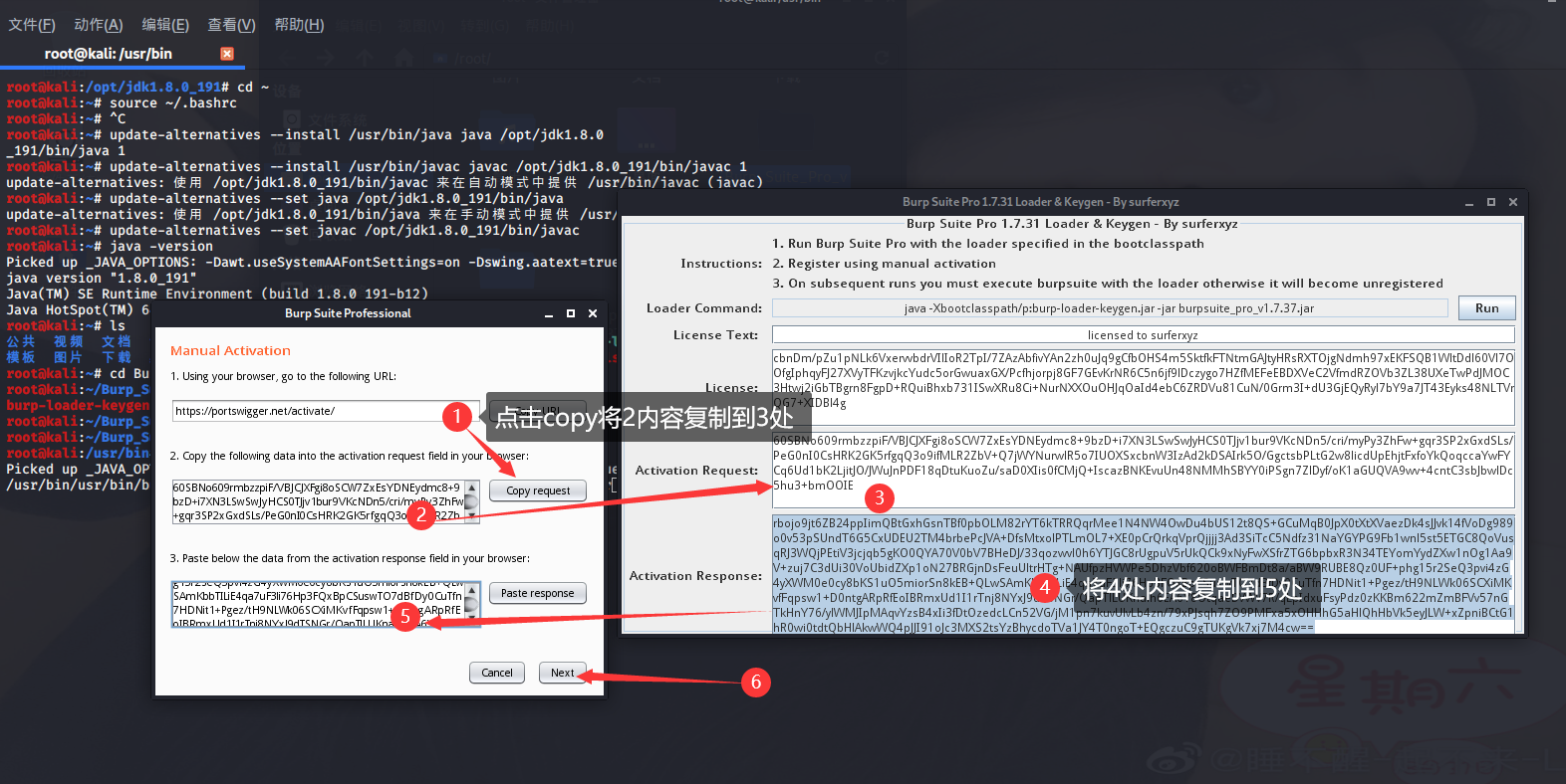 update burpsuite in kali