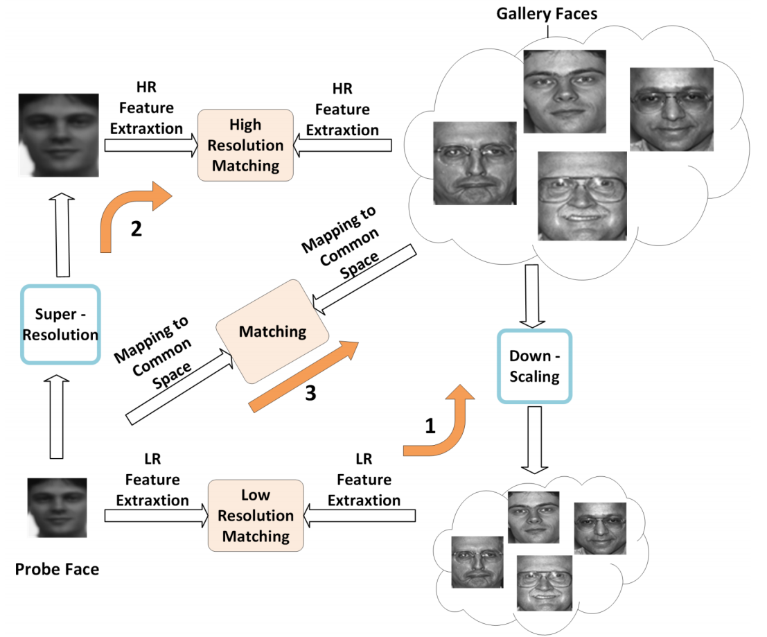 [LRFR] (双分支CNN) LRFR Using a Two-Branch Deep Convolutional Neural ...
