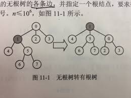 算法竞赛入门经典第11章 无根树转有根树_给你一个n个节点,n-1条边的无根树如果我以某一个节点规定为根节点那么这棵树变成-CSDN博客