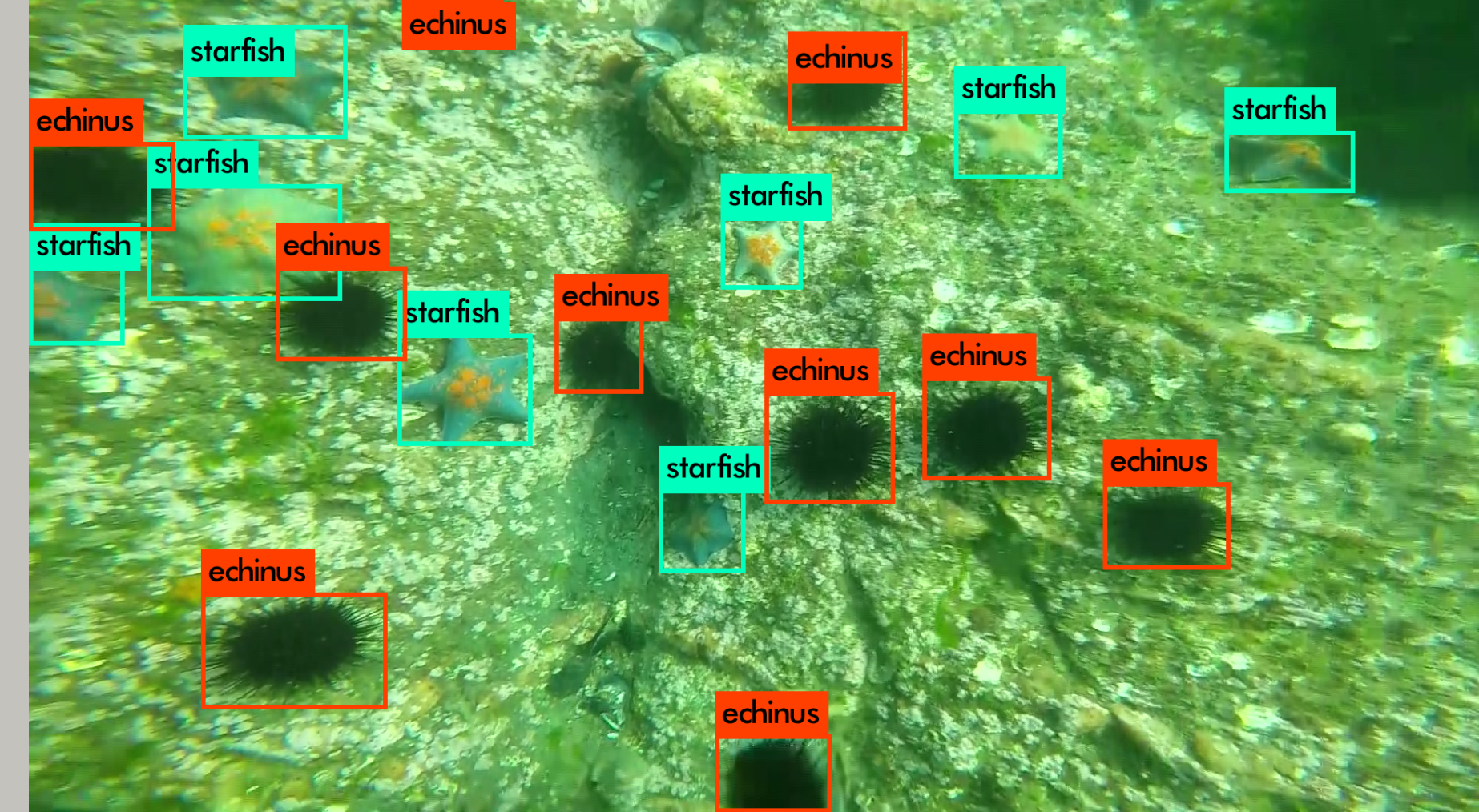 【水下目标检测】比赛记录