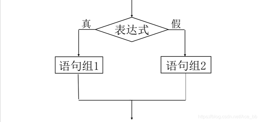 双分支选择结构