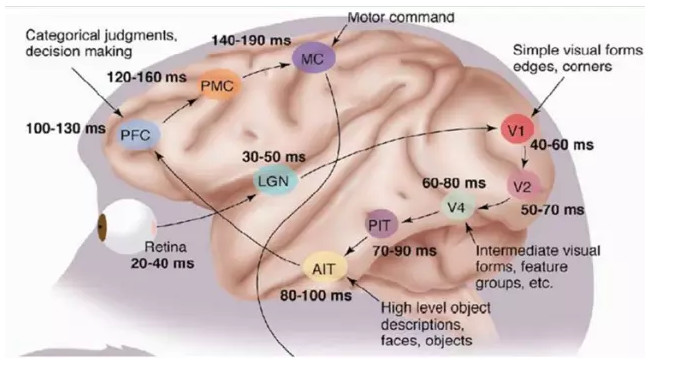 ​大牛的《深度学习》笔记，Deep Learning速成教程
