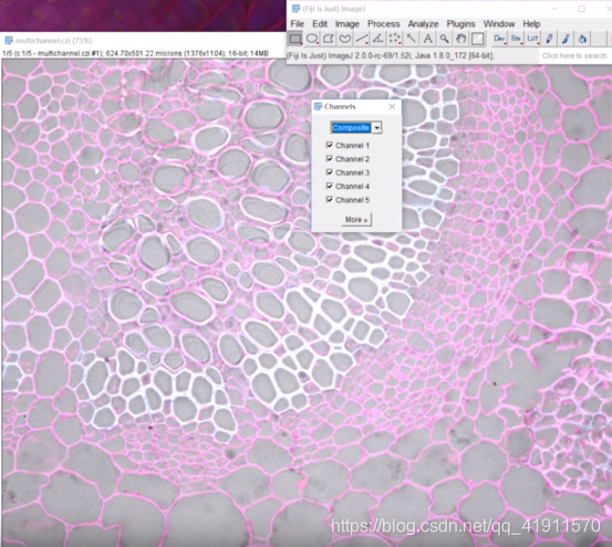 FIJI (ImageJ) 图像处理合集_等我下课的博客-CSDN博客_fiji imagej