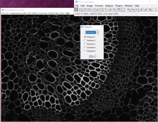 plit channels imagej fiji