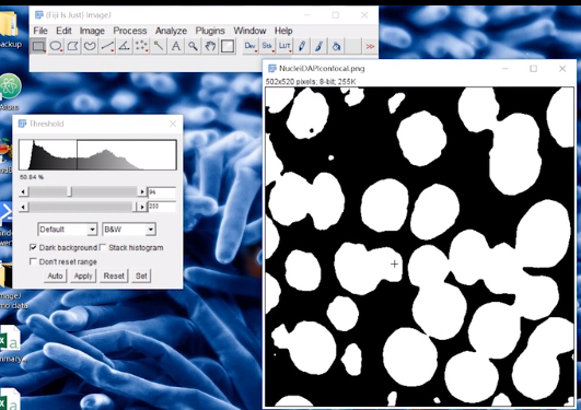 FIJI (ImageJ) 图像处理合集_imagej Fiji-CSDN博客