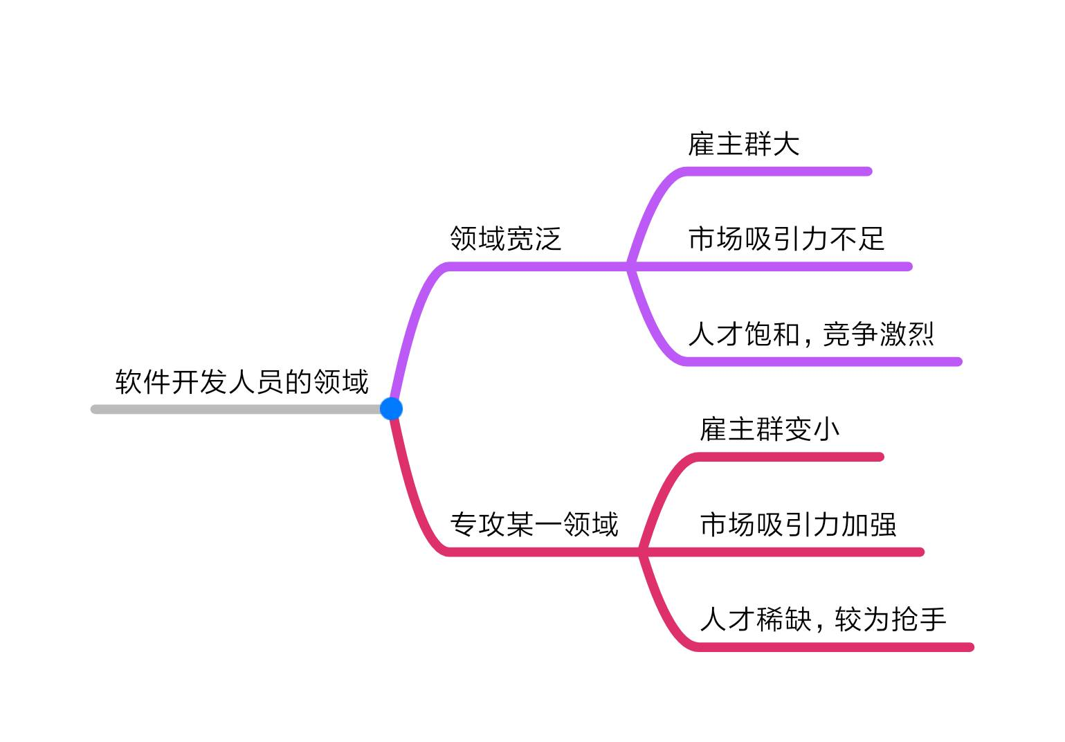 软件开发人员的领域