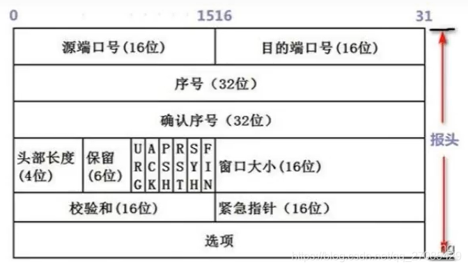 TCP header structure