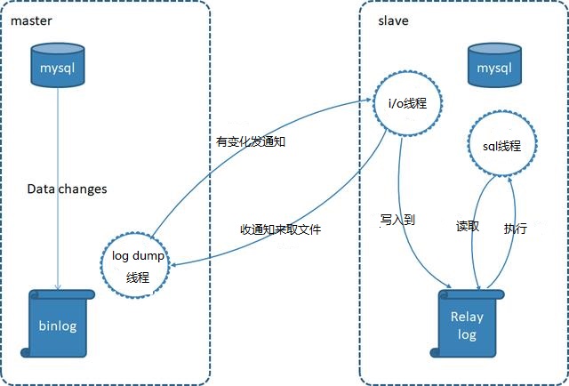 MySQL Replication_lgx211