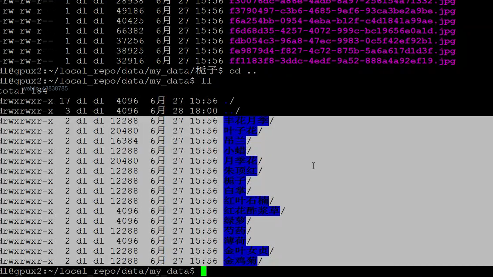 watermark,type_ZmFuZ3poZW5naGVpdGk,shadow_10,text_aHR0cHM6Ly9ibG9nLmNzZG4ubmV0L3dlaXhpbl80MzgzODc4NQ==,size_16,color_FFFFFF,t_70