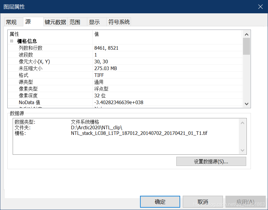 在ArcGIS中查看影像大小