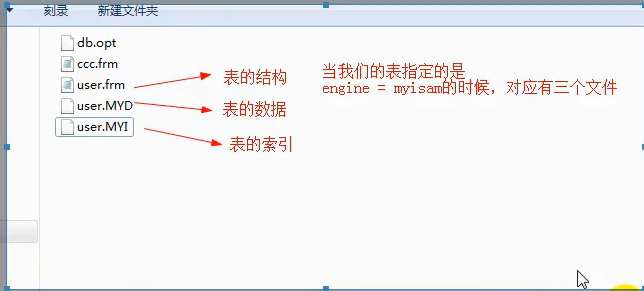 mysql 学习笔记 02创建表