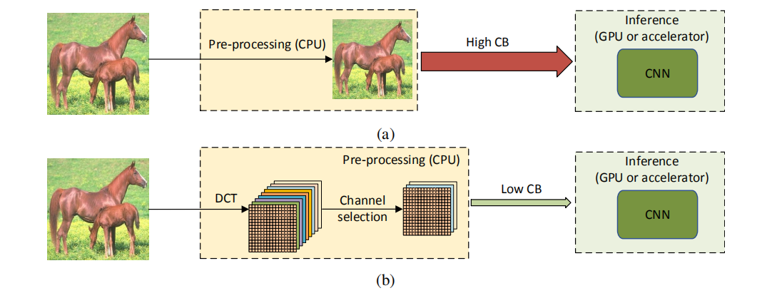 CVPR2020：Learning in the Frequency Domain(翻译)（一）