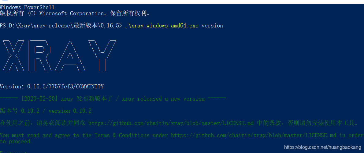 Xray简单使用_xray config-CSDN博客