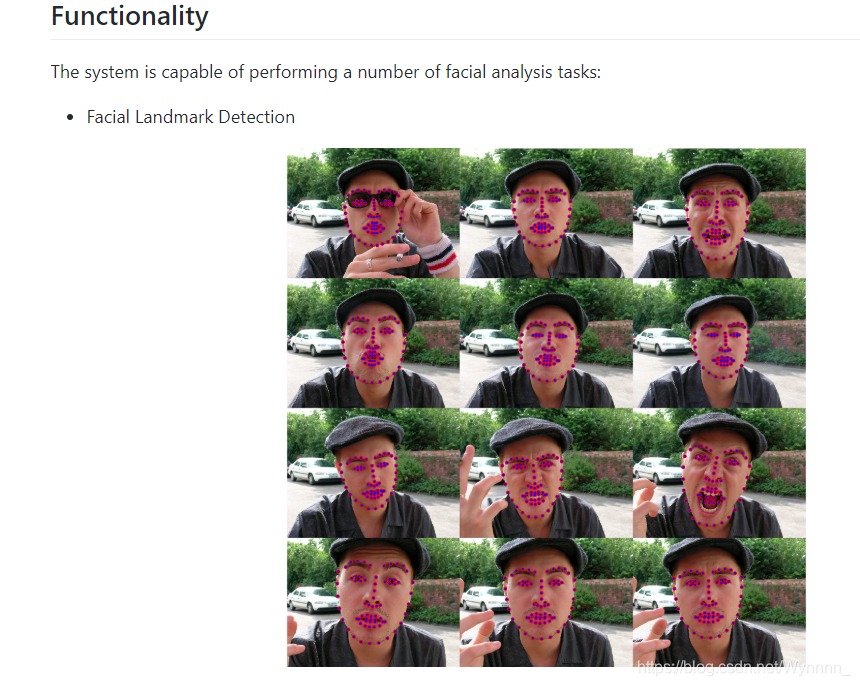 facial landmarks detection 人脸信息提取学习_facial action unit detection using ...