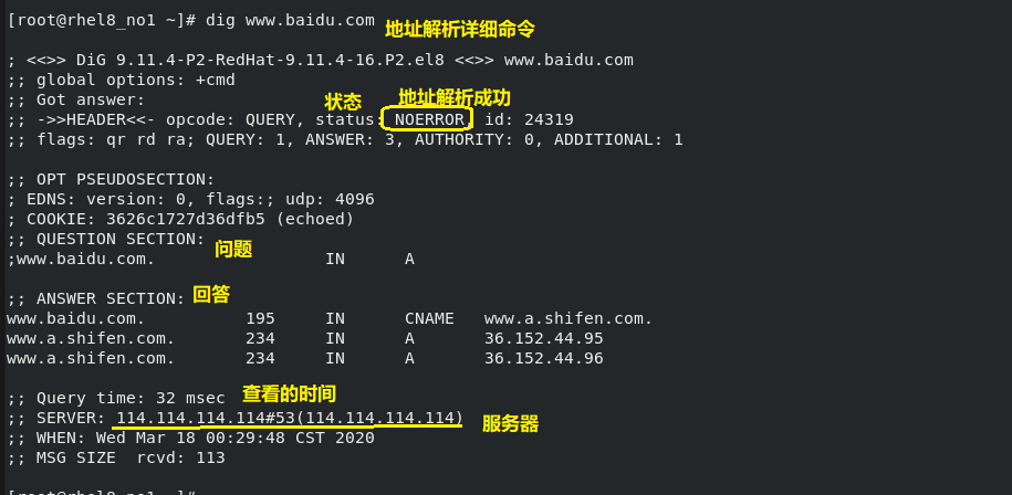 dns服务器一样平常
用什么表现


（dns的服务器地点
是什么意思）〔dns和服务器有什么区别〕