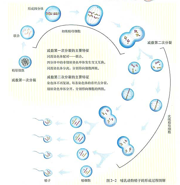 高中生物复习要点 Mr White的博客 程序员宅基地 程序员宅基地