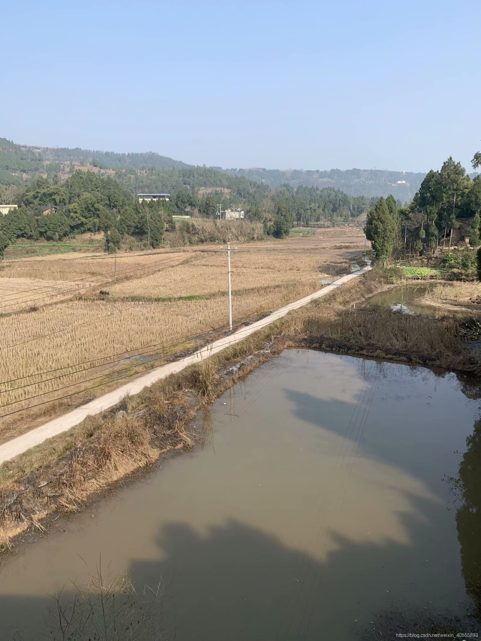 四川省南充市仪陇县金城镇观紫泉水村风景图