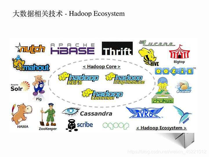 hadhoop动物园