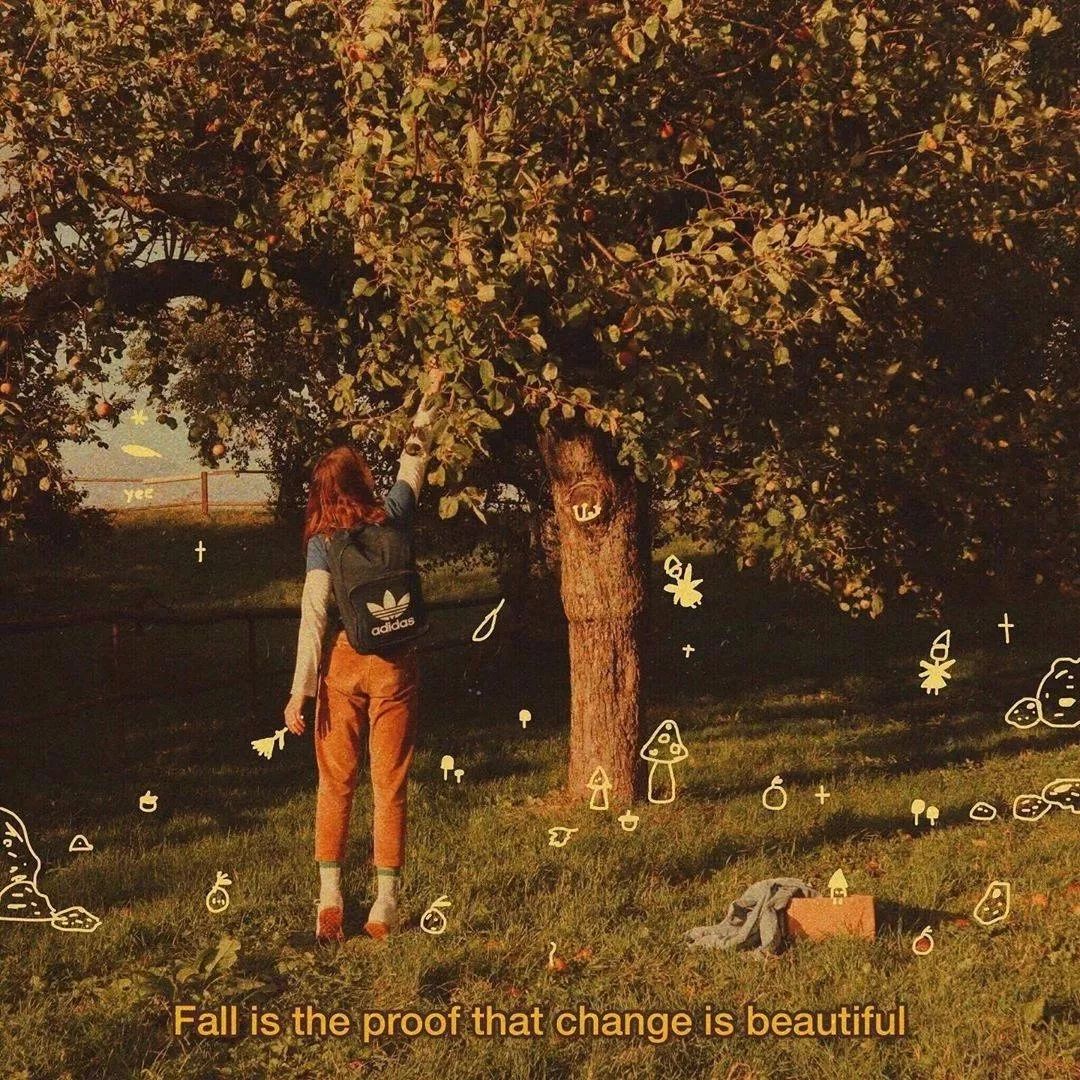 python图像处理库PIL Image模块——函数_python image函数_cuicui_ruirui的博客-CSDN博客