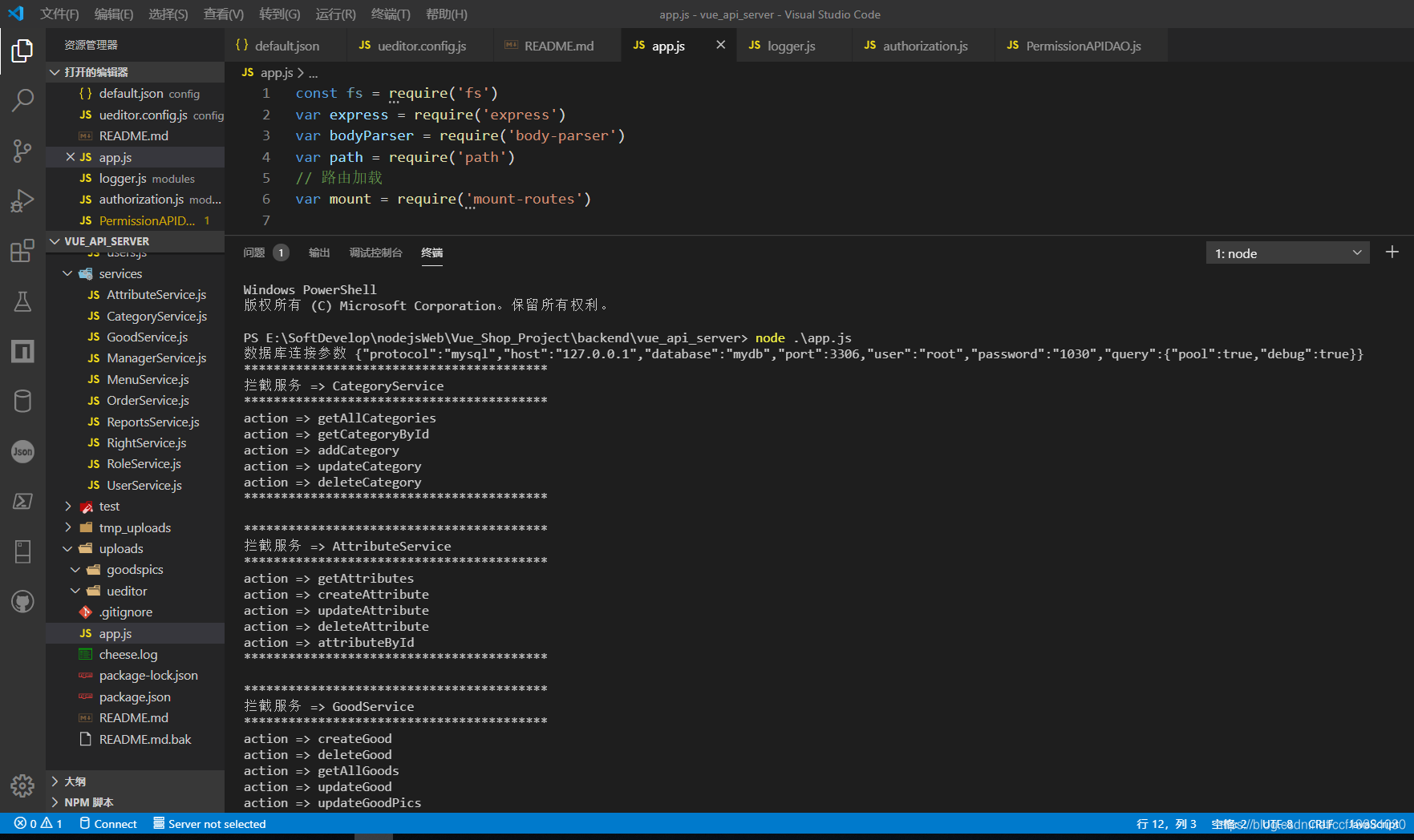 Captura de pantalla 1 de vue_api_server running