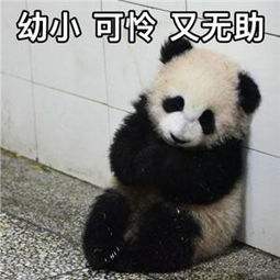资源分配图