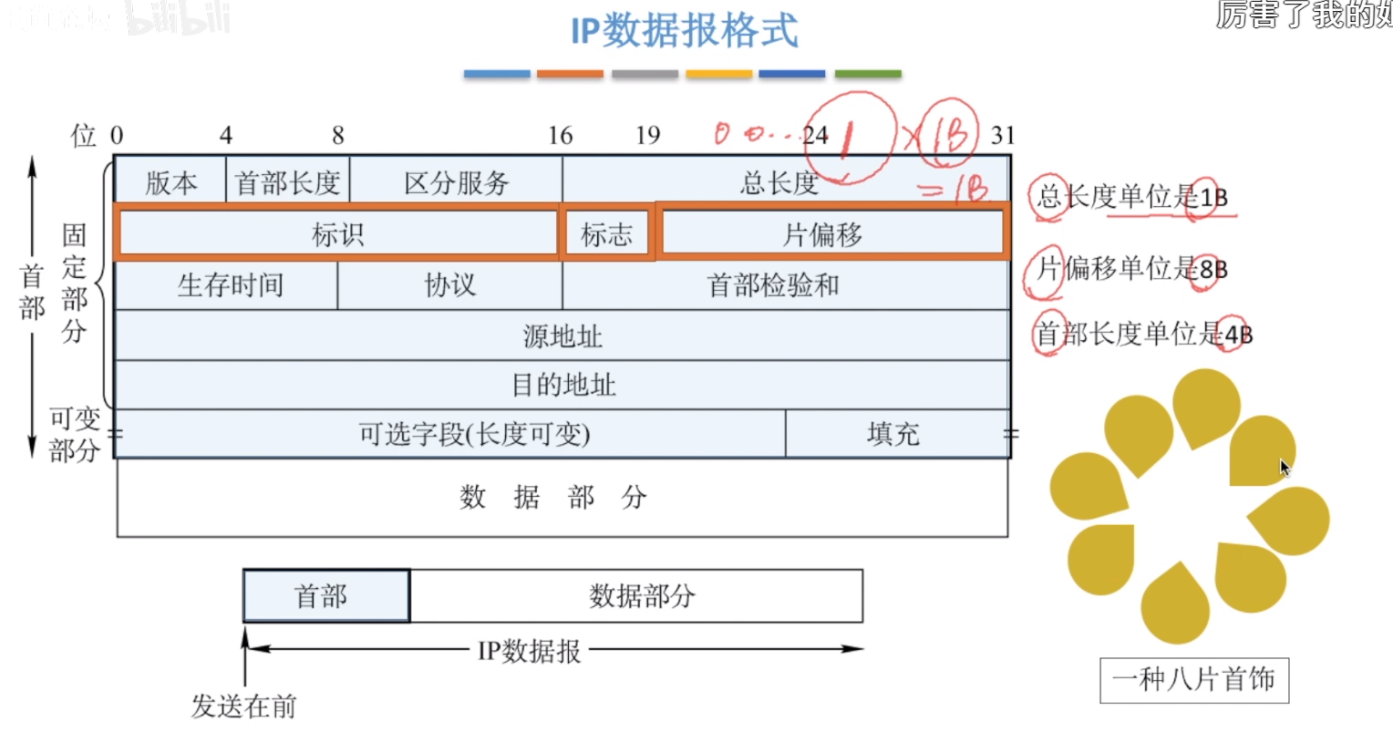 ip数据报-格式-分片
