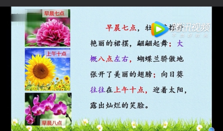 花钟课后小练笔